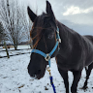 Meet your Posher, Shiann